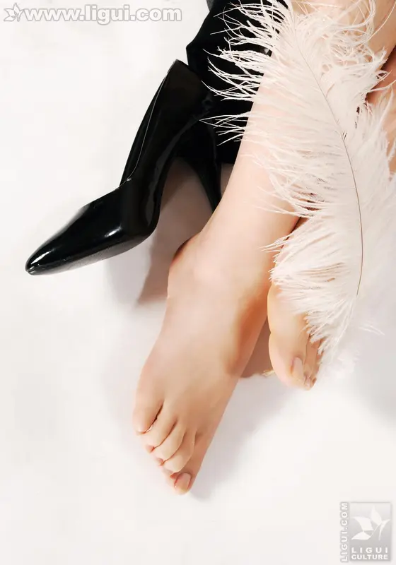 2009.04.27 职场女性曼妙扯动黑丝 Model 小露露 - Ligui丽柜